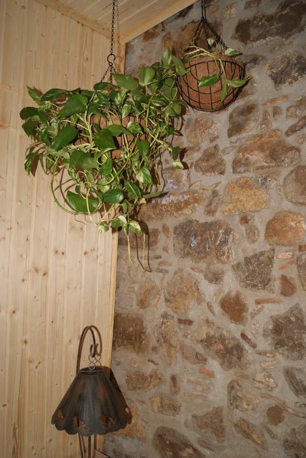 Apartament Codina 40 Διαμέρισμα Torroella de Montgrí Εξωτερικό φωτογραφία